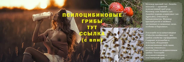 дурь Абинск