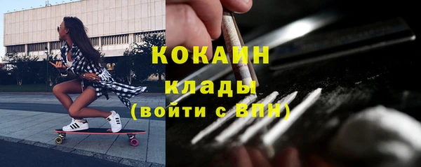 твердый Абаза