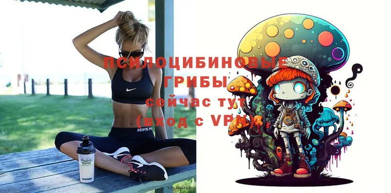 Псилоцибиновые грибы мицелий  Бежецк 