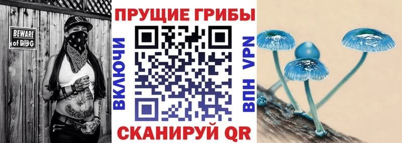 продажа наркотиков Бежецк OMG Галлюциногенные грибы мицелий